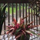 15k of water damage to my home from a burst pipe but at least it was a beautiful rainy day