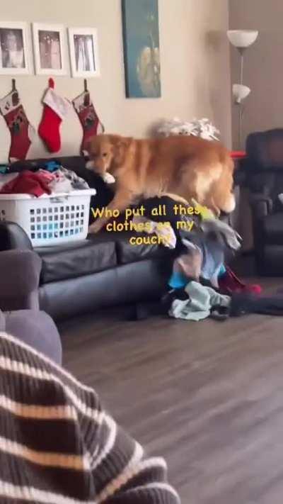 When you don’t care about clean laundry because you don’t wear clothes