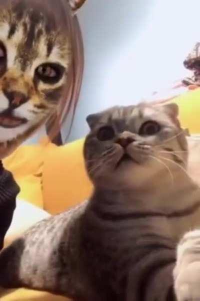 What ? Who Shows up? Is it Problem in the eyes?