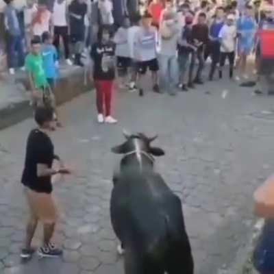 Never Touch the horn's of Bull