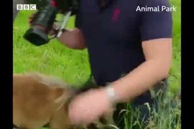 Trying to get the perfect shot