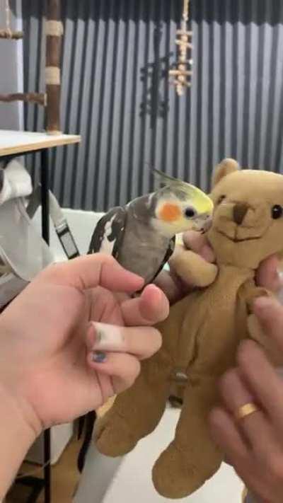 when you’ve had a difficult day... and your bestie decides that you need a hug! 🐥🐻 #bestfriends