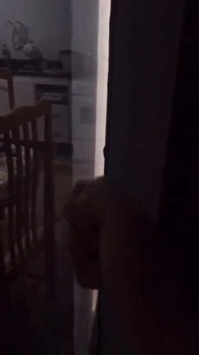 Por que sera que isso acontece?