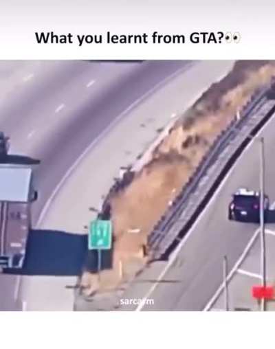 Was GTA meant to be a training simulation?