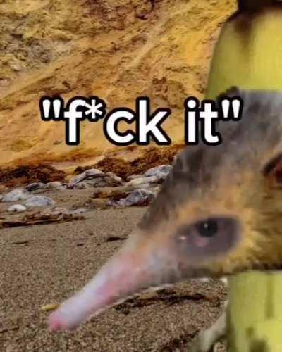 Day 149 of telling you guys to love yourselves! We ball! I hope all you guys can find it in yourselves to make it one more day! I love you and I believe in you! Please if you need someone to just vent to I’m always here. I may not be able to help all the 