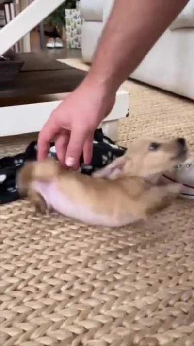 First day in a new house