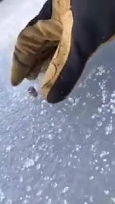 How a bullet behaves when fired on ice