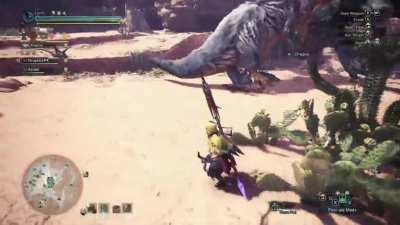 Oh no! Not from the top of the cage! Don't do it Blos! No no no!