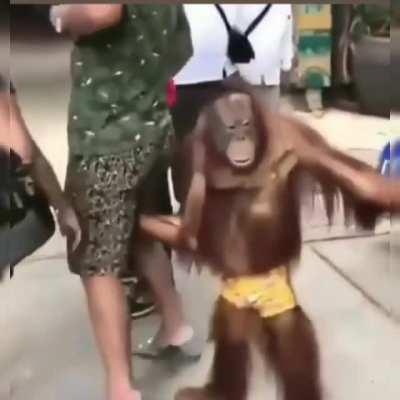 Olha o carro do leite