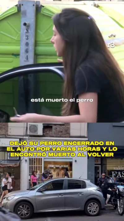 Olvidó a su perro dentro del auto y lo encontró sin vida al regresar: los vecinos la agredieron en el momento en el que lo descubre.