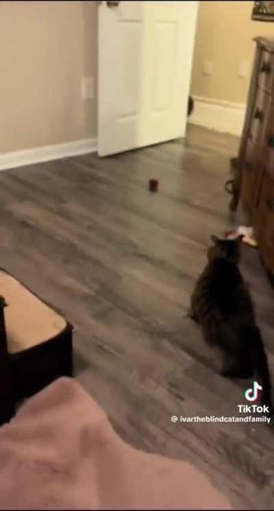 Everyone is equal here!