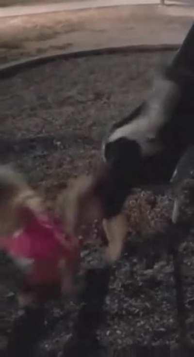 Whoops! Didn’t see ya there.