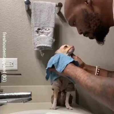 Dads after getting a pet they didn't want