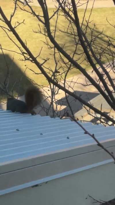 Why’s this guy being weird and loud at the front entrance to my apartment building?