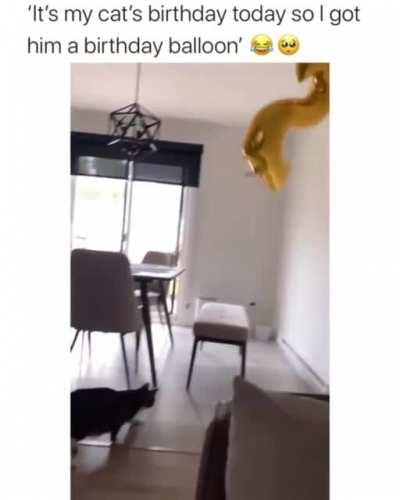 He loves his birthday balloon.