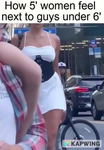 welcome our newest Amazonian overload