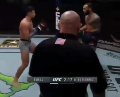 Both of these fighters