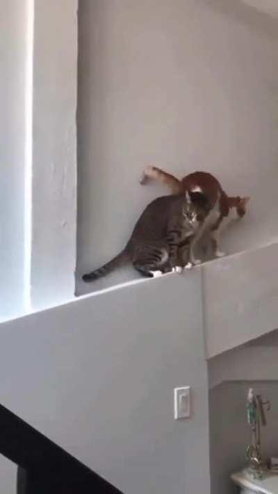 It's always the orange