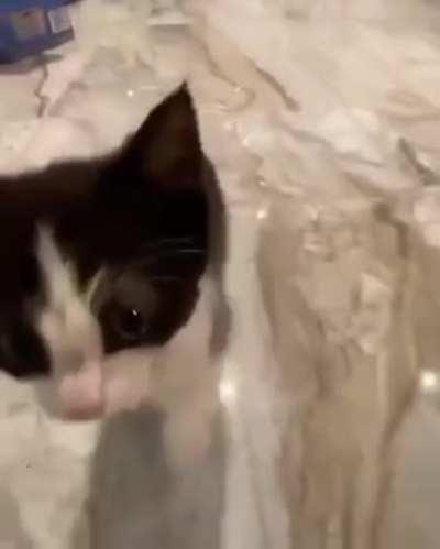 An introvert's nightmare