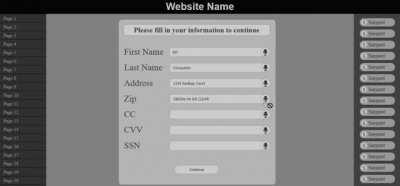 Form that only allows voice input for sensitive information