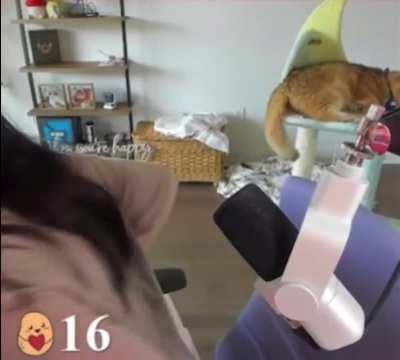 Janet in biker shorts 🥵