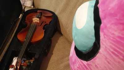 Saving a homeless amongus