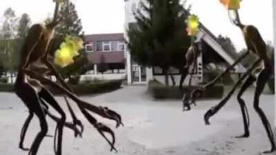 Boa noite bacanas,fiquem com essa triste história😭😭.