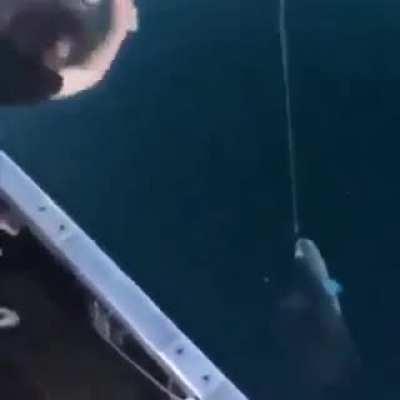 *Un problema ocurre* Rusos: