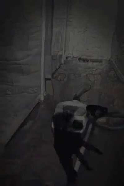 replication of dph visuals