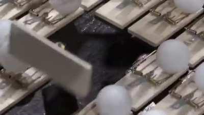 A simple explanation for how social distancing works.