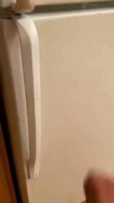 The fridge in my house :