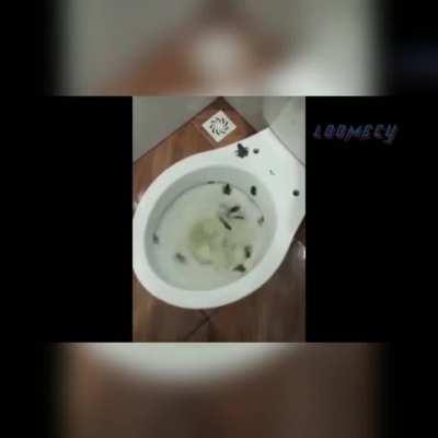 Thanks, I hate going to bathroom