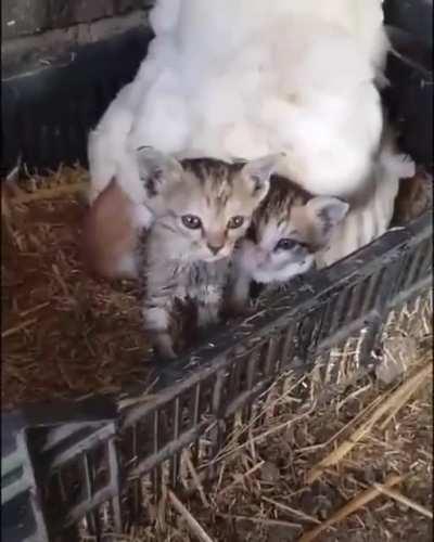 Move along, nothing to see here