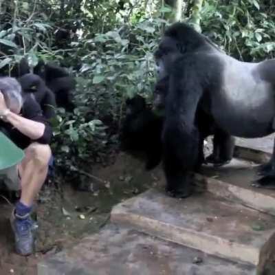 A change of underwear might be in order