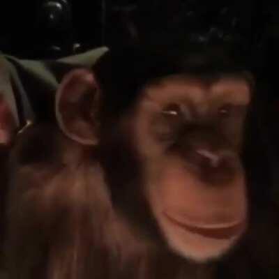 L-am invitat pe /u/Leycris la masă și na pocinog