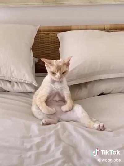 Meditation first thing in the morning