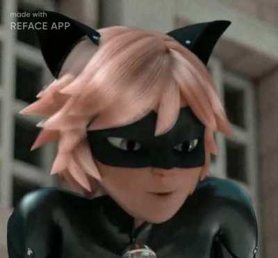 Chat Noir singing wow you can really dance