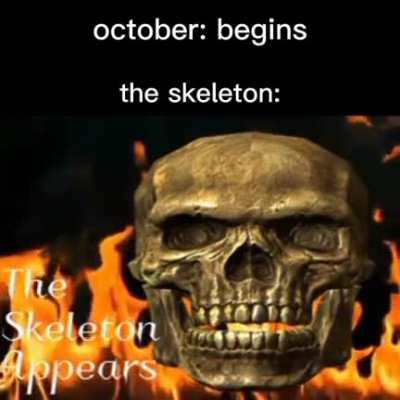 i waited 7 months to post this