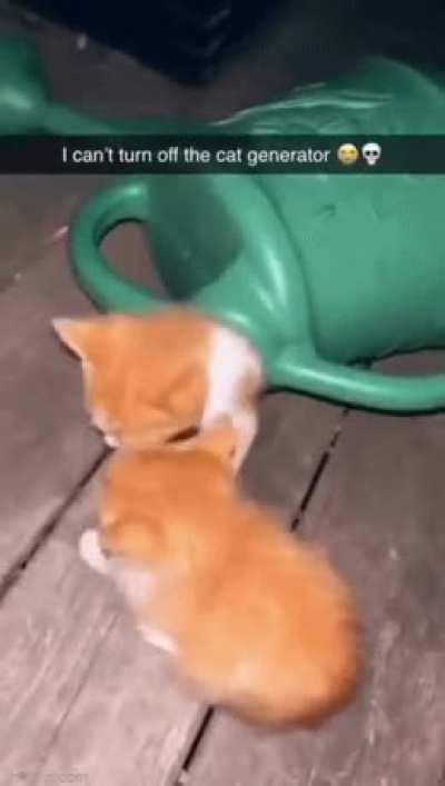 Cursed xp/string farm