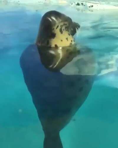 curves in all the right places