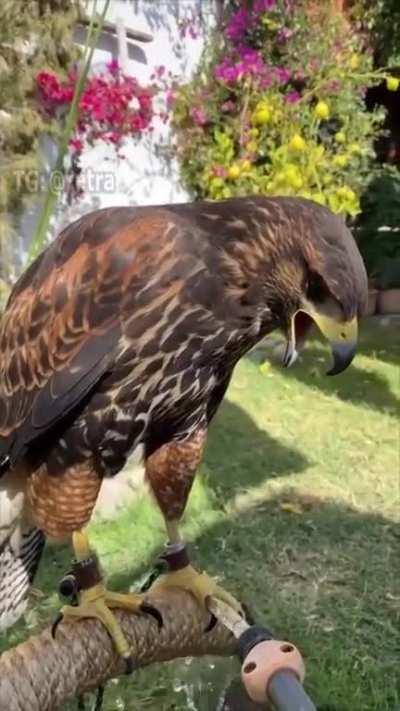 ÐÐÐÐÐÐÐÐÐ!