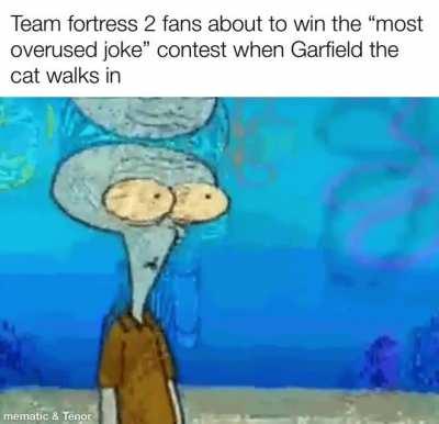 Lasagna, dog off table, this guy is a loser, I hate spiders