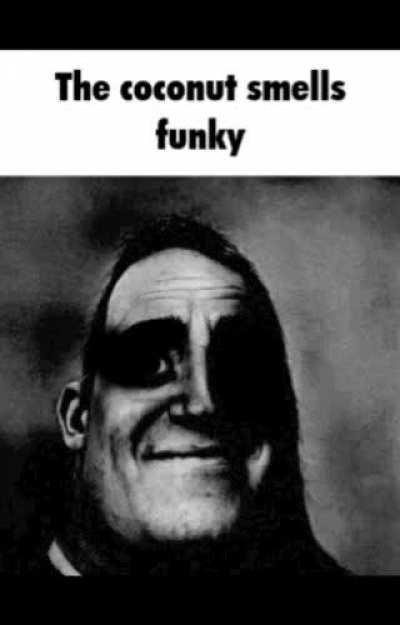 Why are there so much flies everywhere