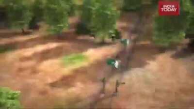 Fans de Yolo peleando por chupar un pene