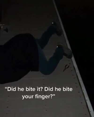 Picking up a wild California Round Stingray