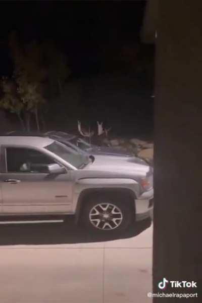 I think he wanted proof for the insurance company