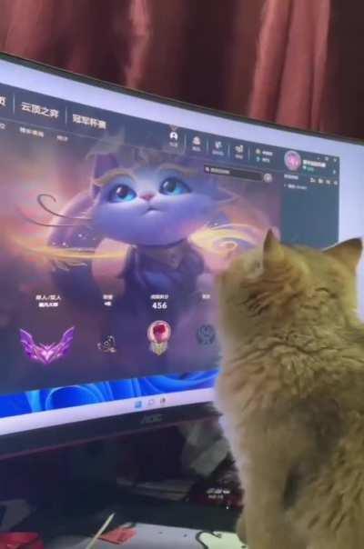 Yall if yall were a cat