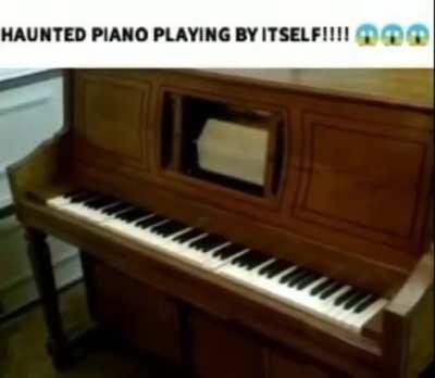 Worst musical instrument from the Greater East Asia Co-Prosperity Sphere🌞