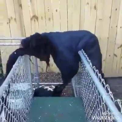 Today is not a good day