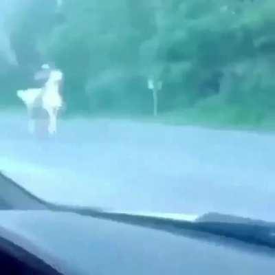 DaBaby was recently spotted riding a horse😱😱😩